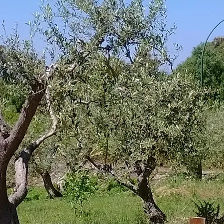 Bed & Breakfast La Landrigga Sassari